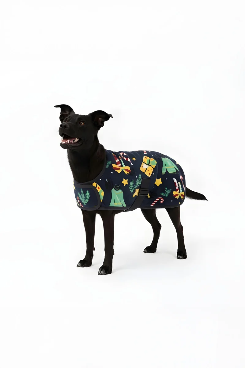 Weihnachts-Hundepullover christmas jumper print 40