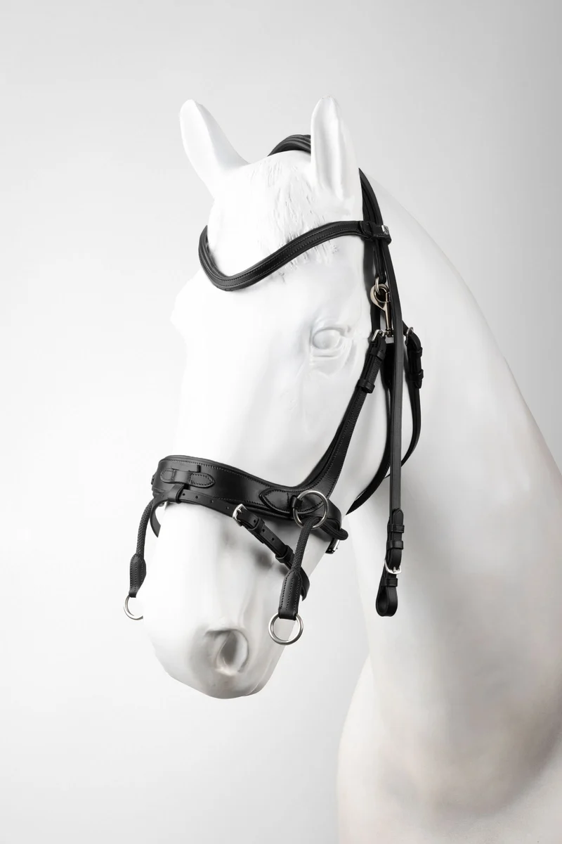 Montana 2-in-1 Zaum Black V