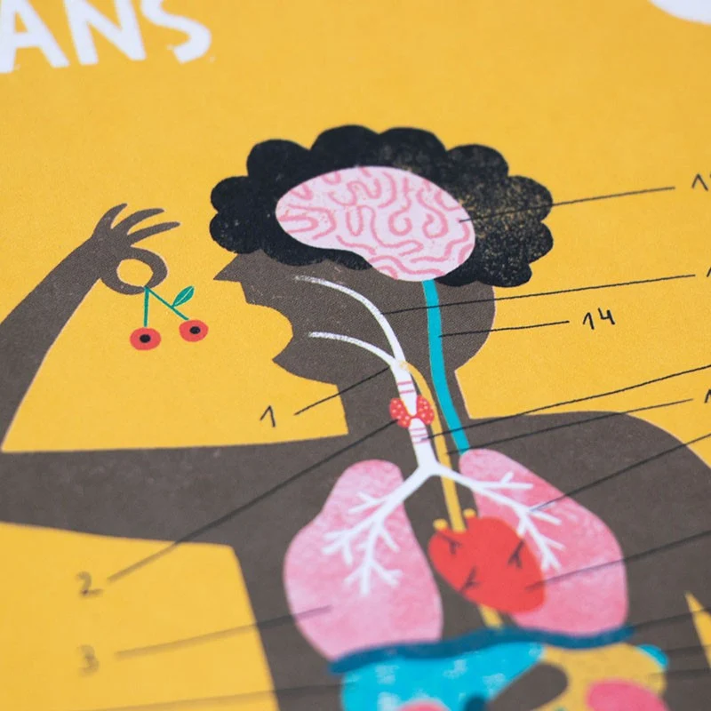 Didaktisches Anatomie-Spiel "Inside me"