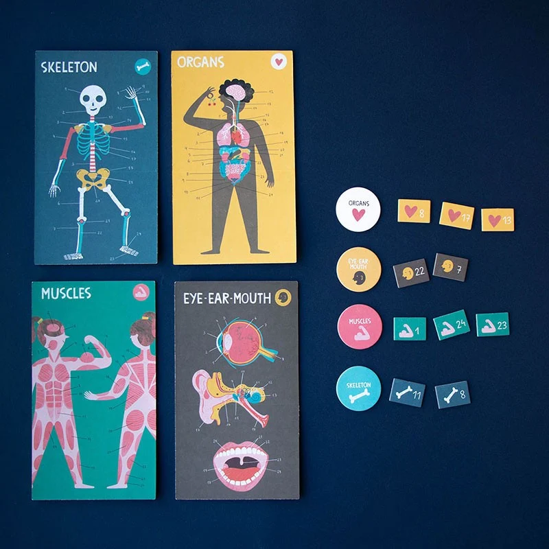 Didaktisches Anatomie-Spiel "Inside me"