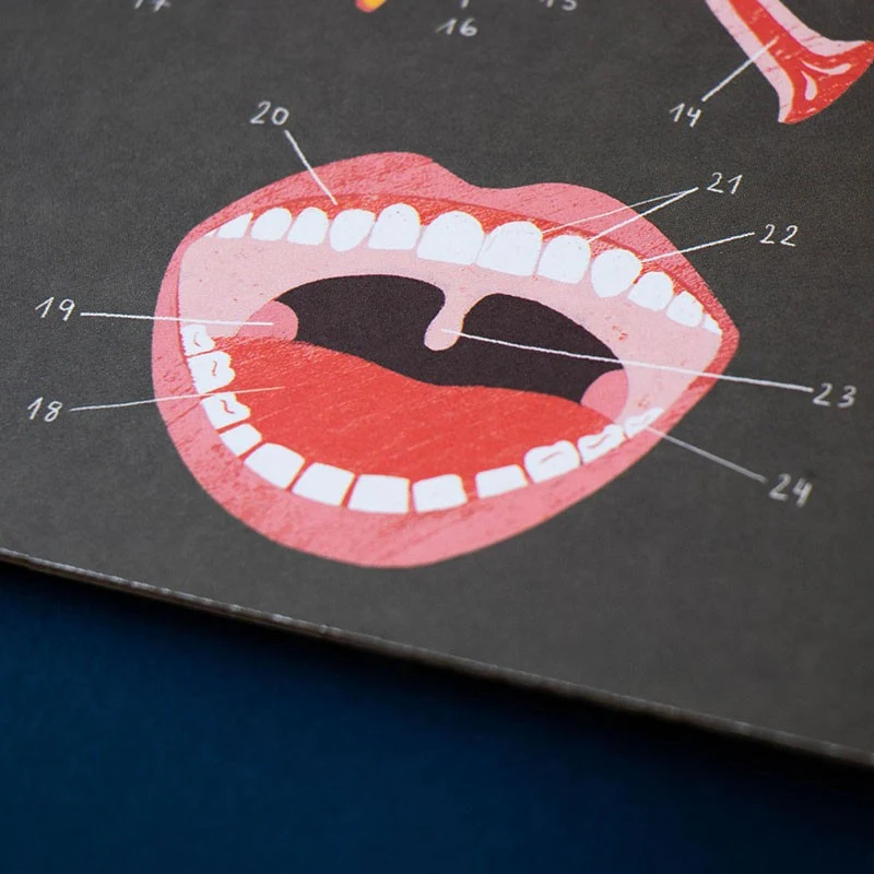 Didaktisches Anatomie-Spiel "Inside me"