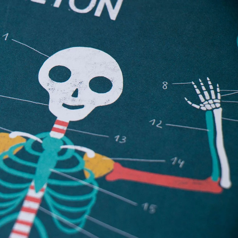 Didaktisches Anatomie-Spiel "Inside me"