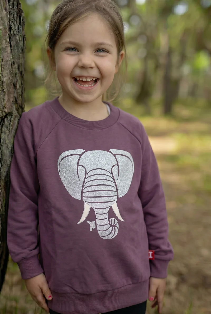Dyrbellow Sweat Grey Plum ELEFANT (Glitter)