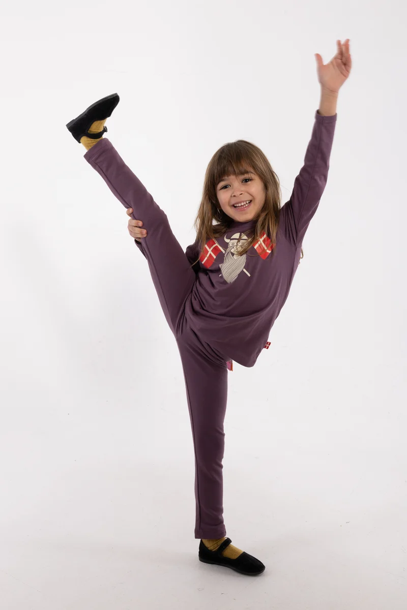 Danebasic Longsleeve Grey Plum FLAGFREJA