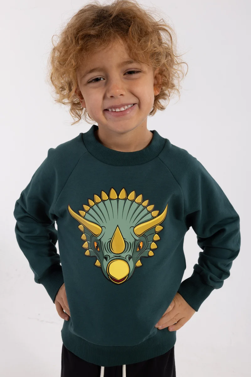 Dyrbellow Sweat Canard TRICERATOPS