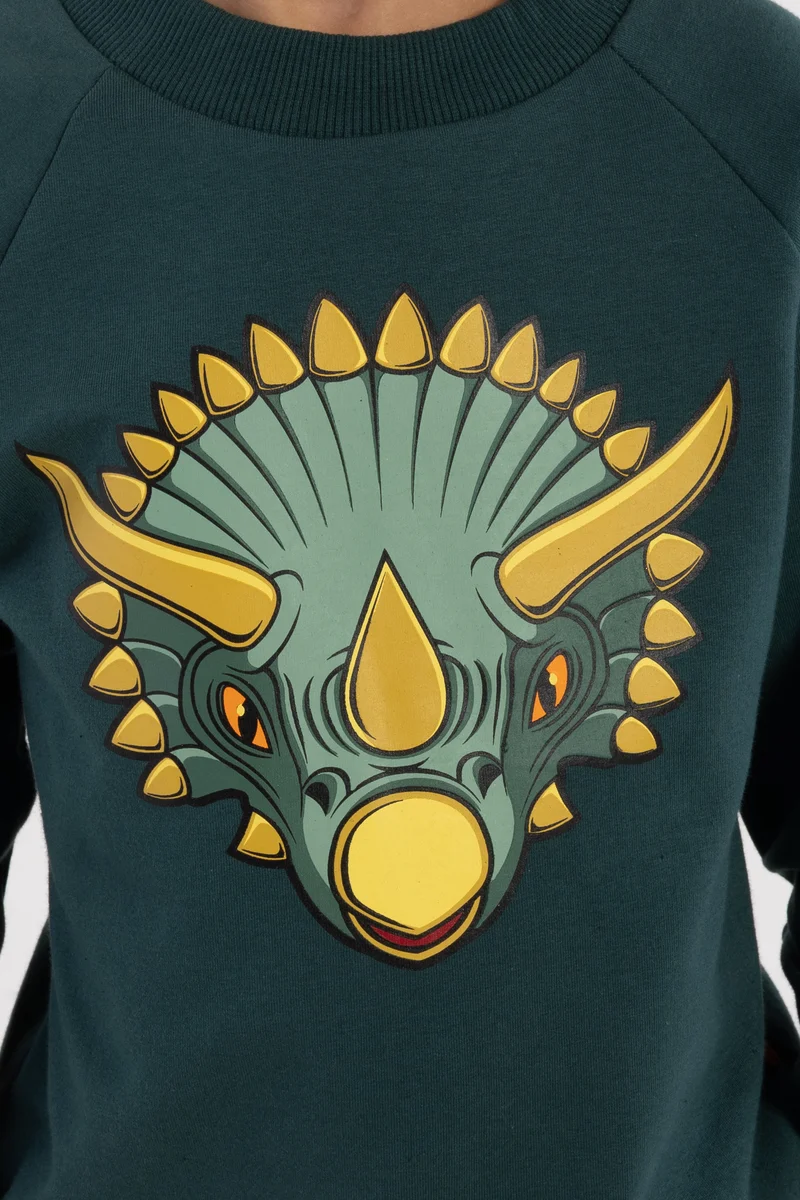 Dyrbellow Sweat Canard TRICERATOPS