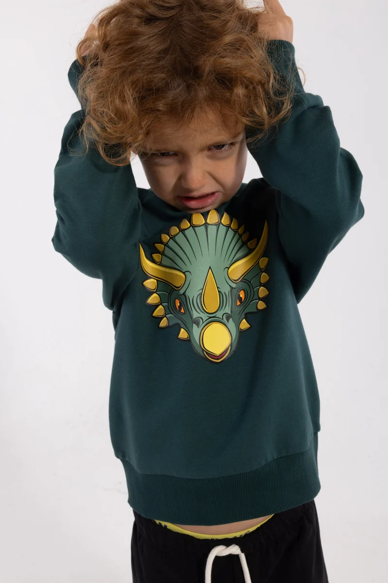 Dyrbellow Sweat Canard TRICERATOPS