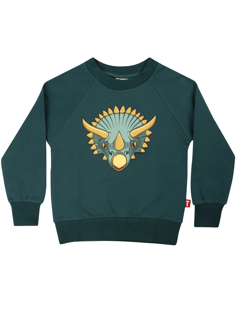 Dyrbellow Sweat Canard TRICERATOPS