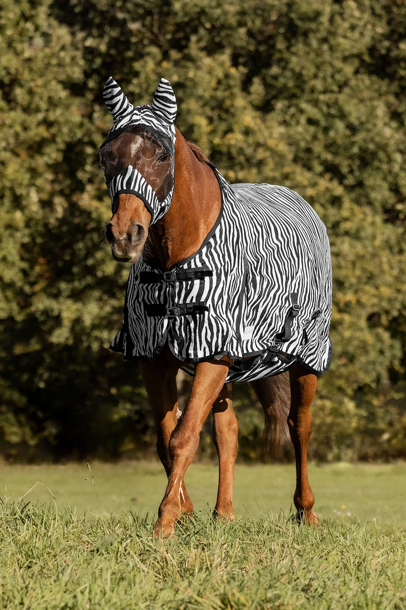 Zebra Fliegendecke mit geraden Bauchgurten Black/White 155