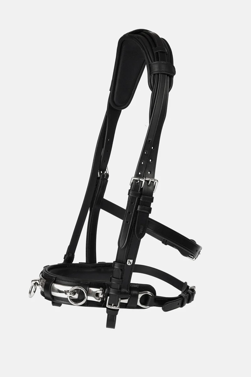 Lederkappzaum Black P
