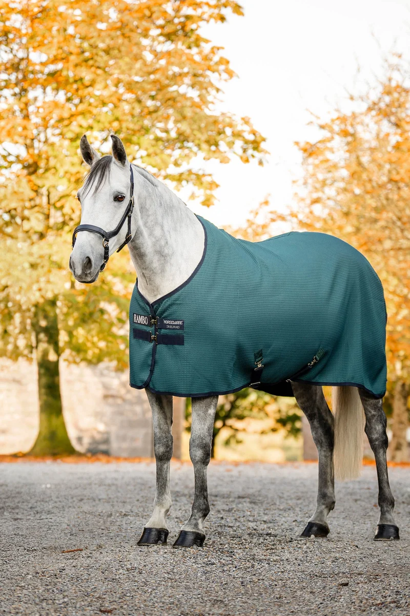 Rambo Techni-Waffle Abschwitzdecke Dynasty Green/Navy/Silver 130