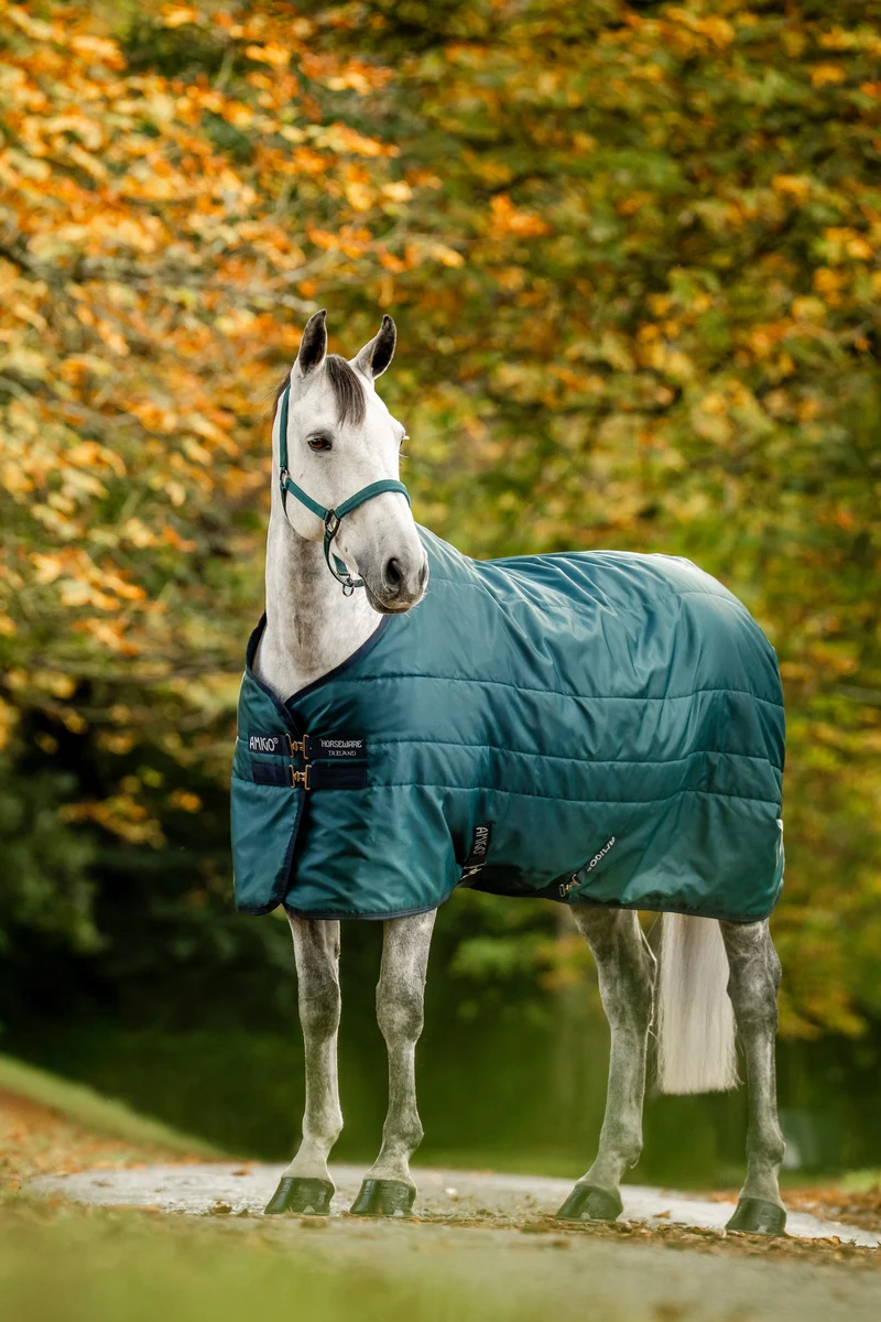 Amigo Ripstop Insulator Stalldecke, 200g Dynasty Green/Navy/Silver 155