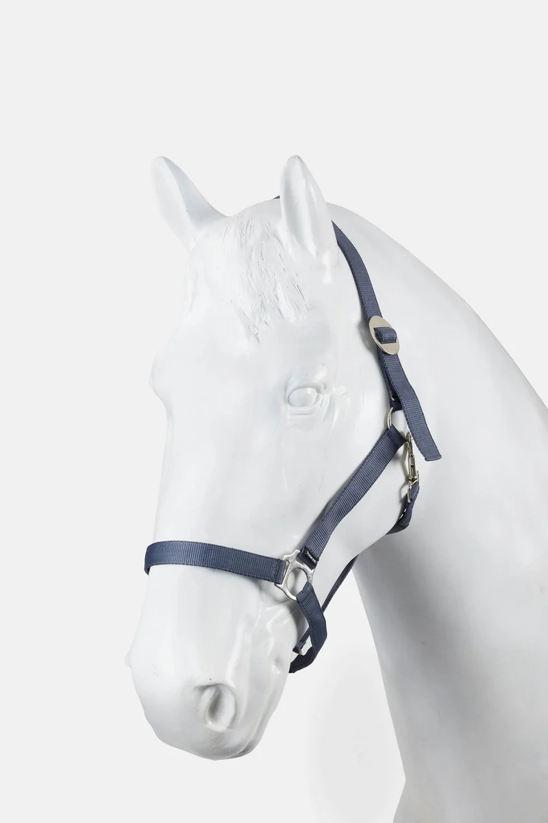 Halfter (3er-Set) Odyssey navy P