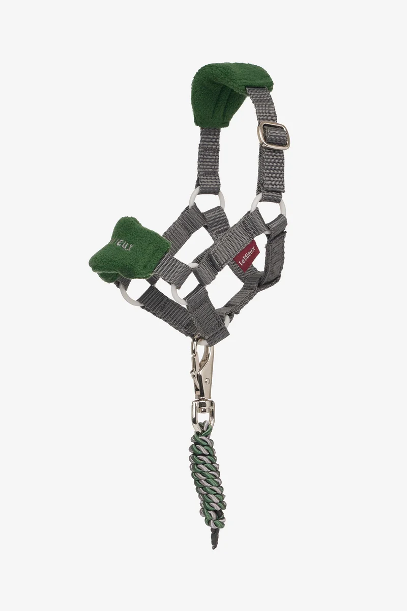 Vogue Spielpony Halfter und Führstrick Hunter Green Einheitsgröße