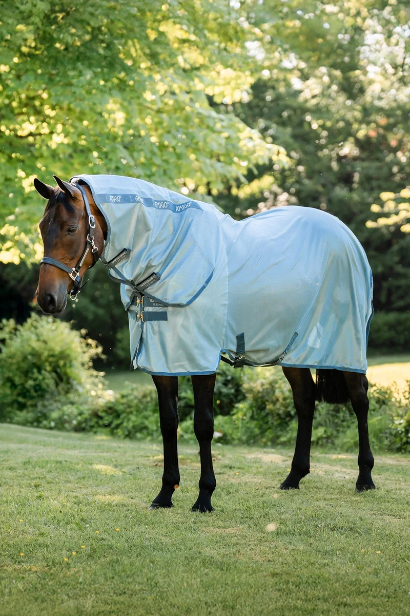 Amigo Integrierte Fliegendecke Heather Blue/Blue & Silver 115