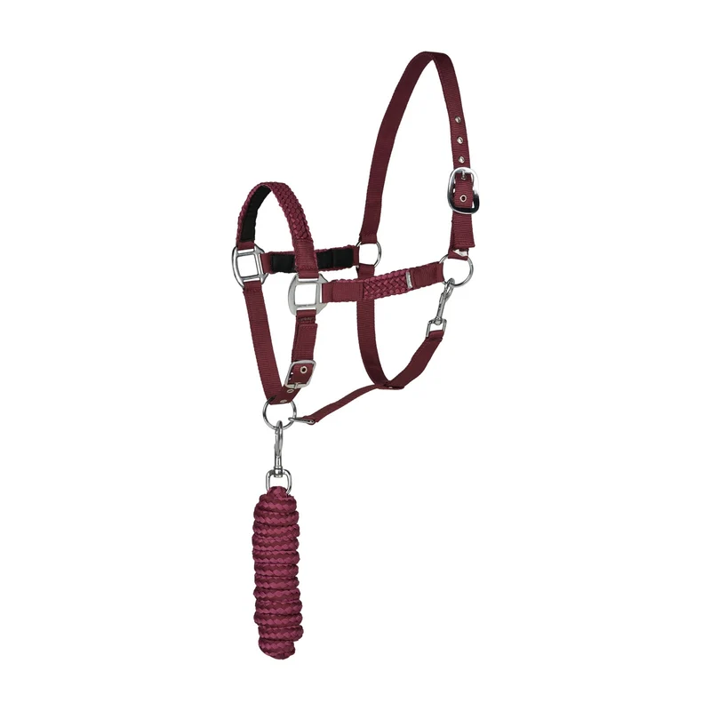 Chicago Halfter & Führstrick Set Wine Red/ Violet Quartz Purple X-Full