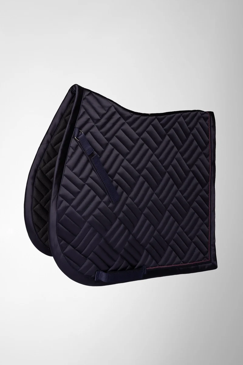 Aachen Vielseitigkeitsschabracke Nightshade P