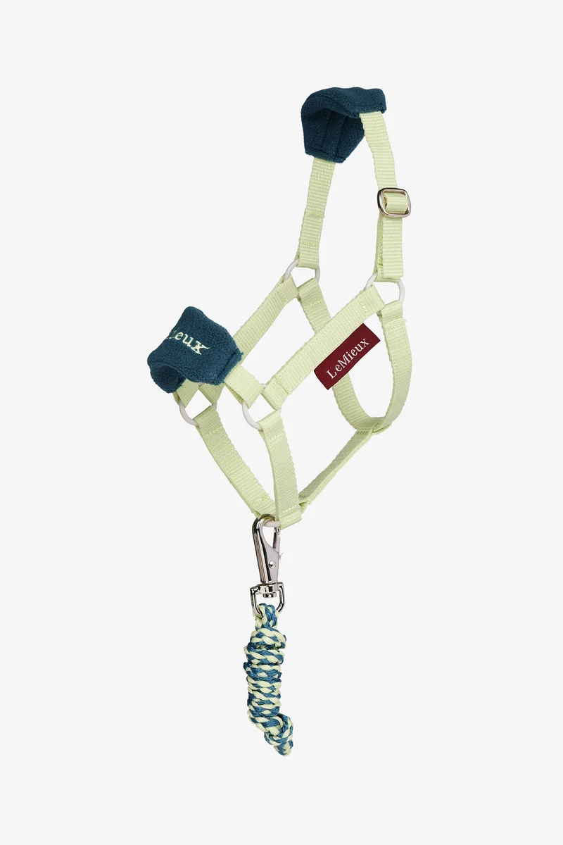 Hobby Horse Vogue Halfter und Führstrick Macaron Einheitsgröße