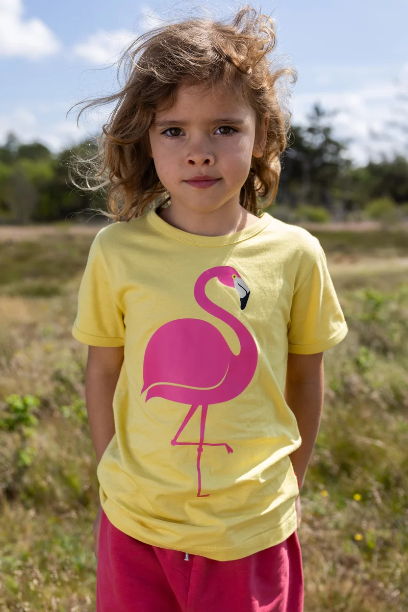 Dyrhide SS T Faded Yellow FLAMINGO