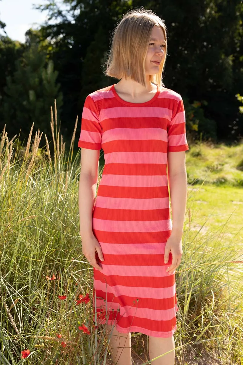 Danicon Ribbing Dress Summer Red/Bright Pink