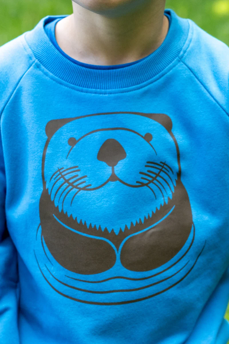 Dyrbellow Sweat Faded Blue OUTLINE HAVODDER