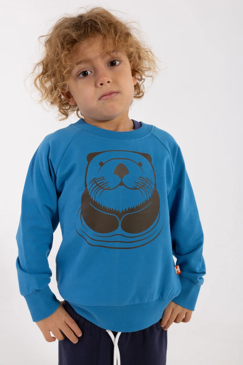 Dyrbellow Sweat Faded Blue OUTLINE HAVODDER