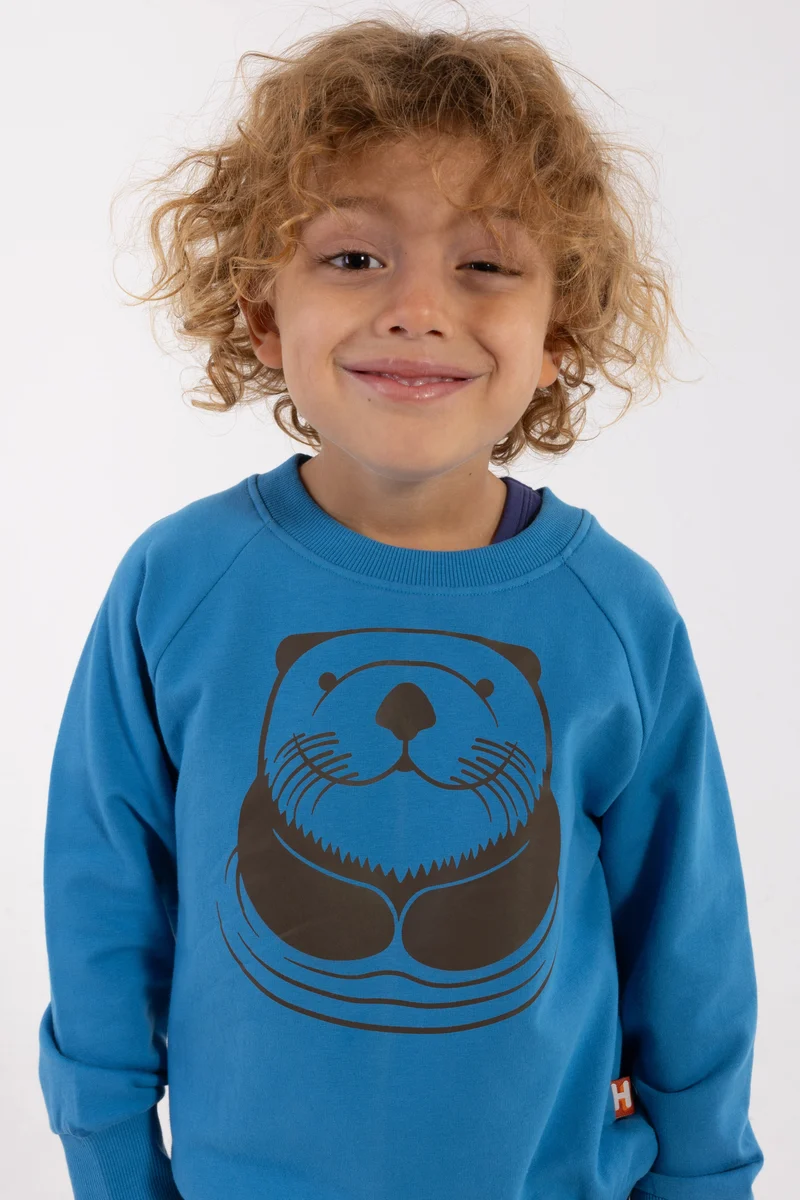 Dyrbellow Sweat Faded Blue OUTLINE HAVODDER