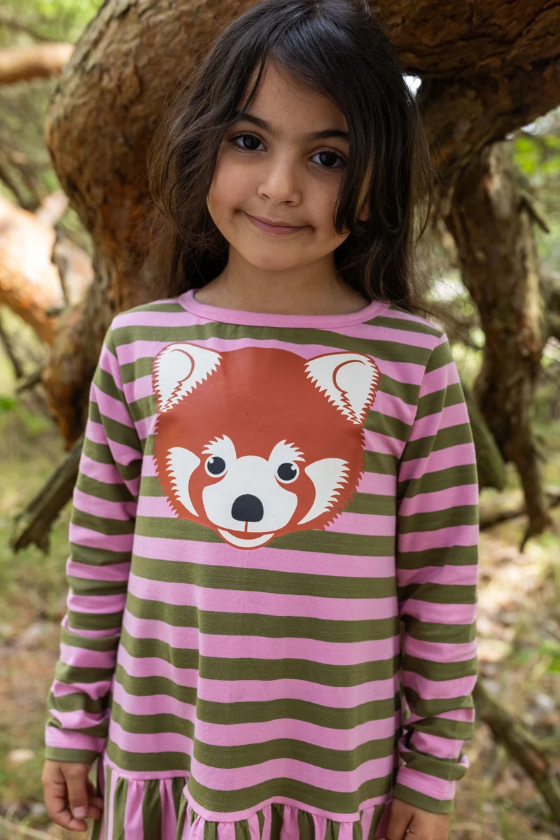 Dyrzanzi LS Dress AOP/STRIB Rose/Olive ROED PANDA