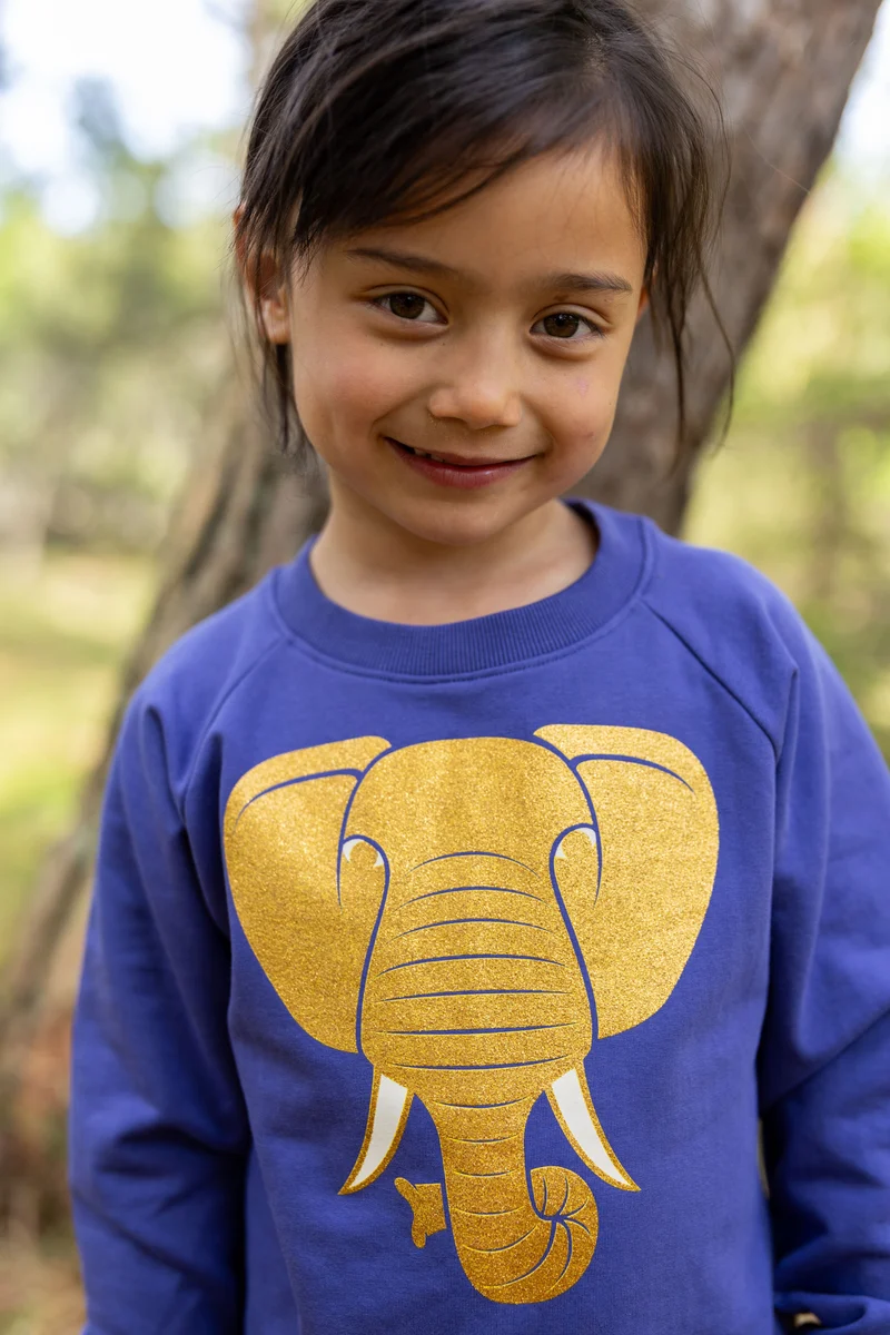 Dyrbellow Sweat Blue Purple ELEFANT