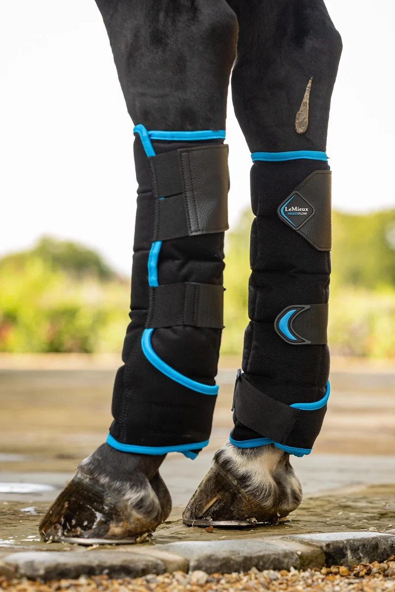 Freeze Flow Kühlgamasche hinten Black Einheitsgröße