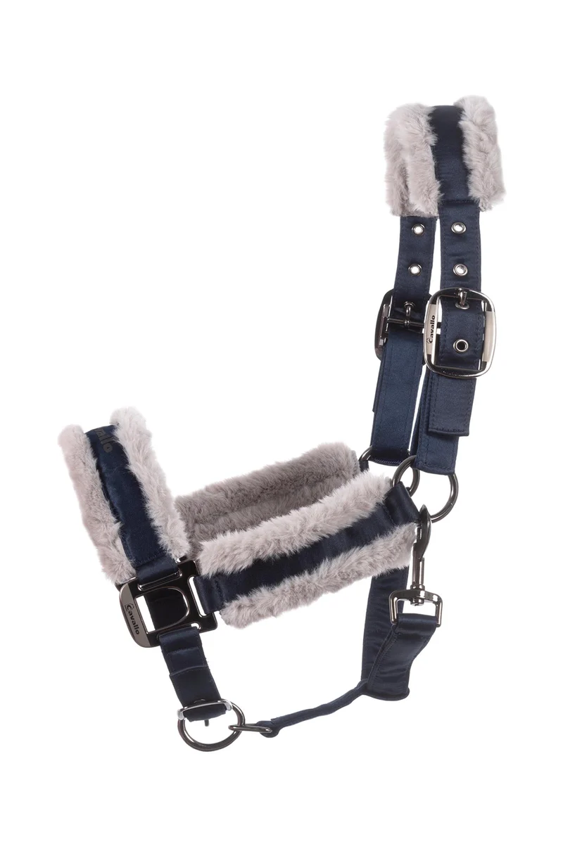 CAVALJERO Halfter Darkblue X-Full