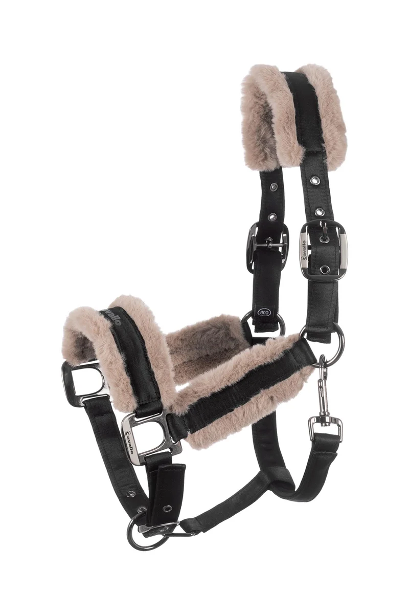 CAVALJERO Halfter Black P