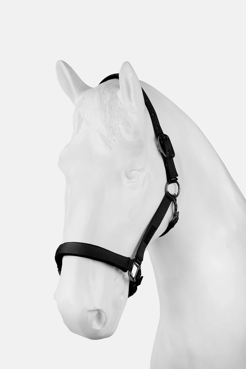 Milan Halfter Black V