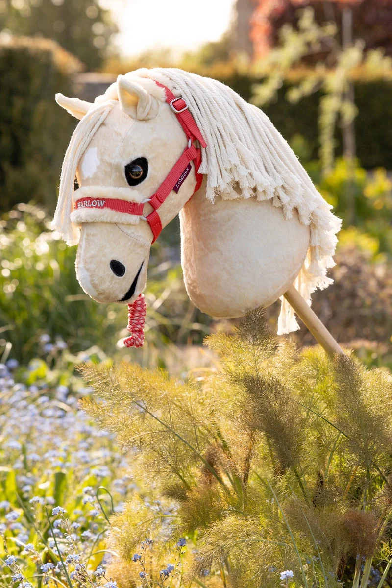 Harlow Hobby Horse Halfter Coral Crush Einheitsgröße