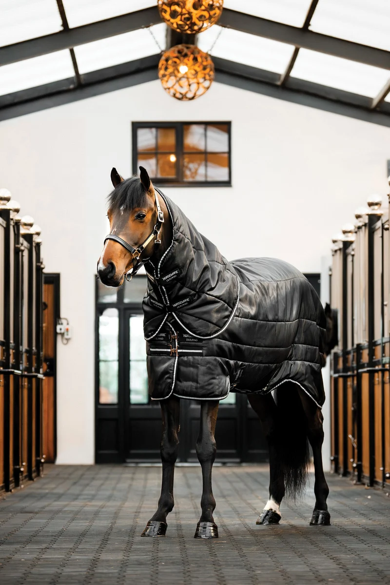 Easy-Layer Stable Plus Heavy 400g Black/Black & Silver 165