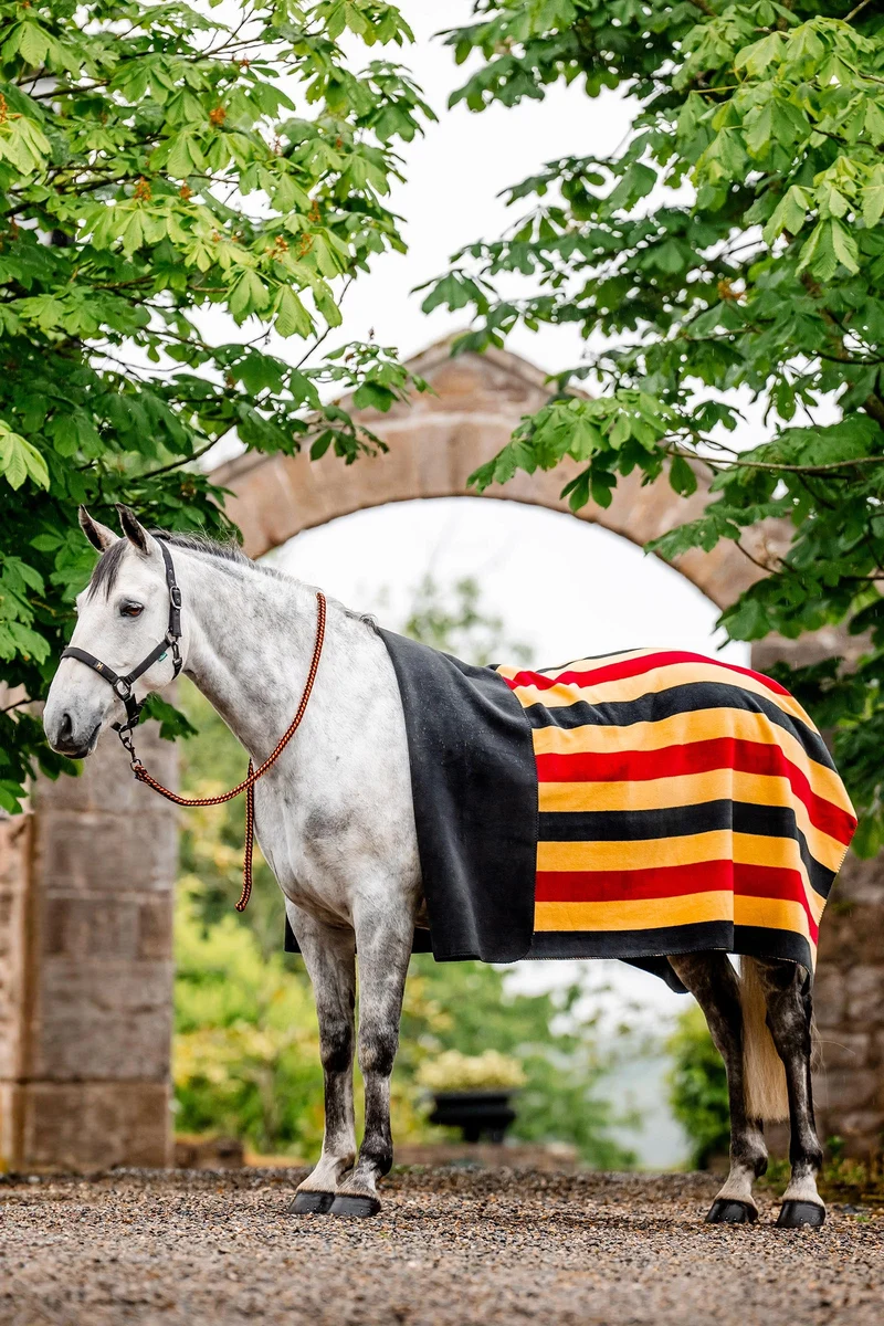 Newmarket Fleece (Quadratisch) Witney Gold P