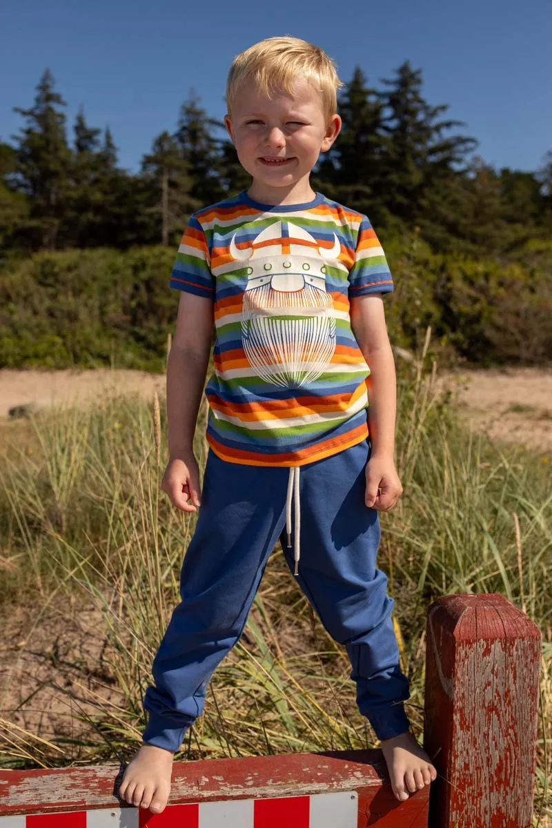 Danerainbow Ringer Cornucopa ERIK