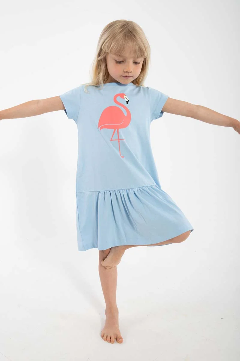 Dyrperky SS Dress Baby Blue FLAMINGO