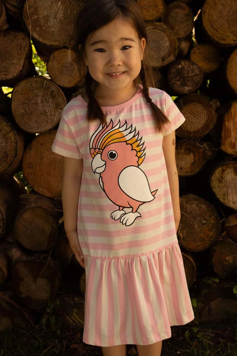 Dyrzanzi SS Dress AOP/STRIB Pastel Pink/Chalk PAPEGOEJE