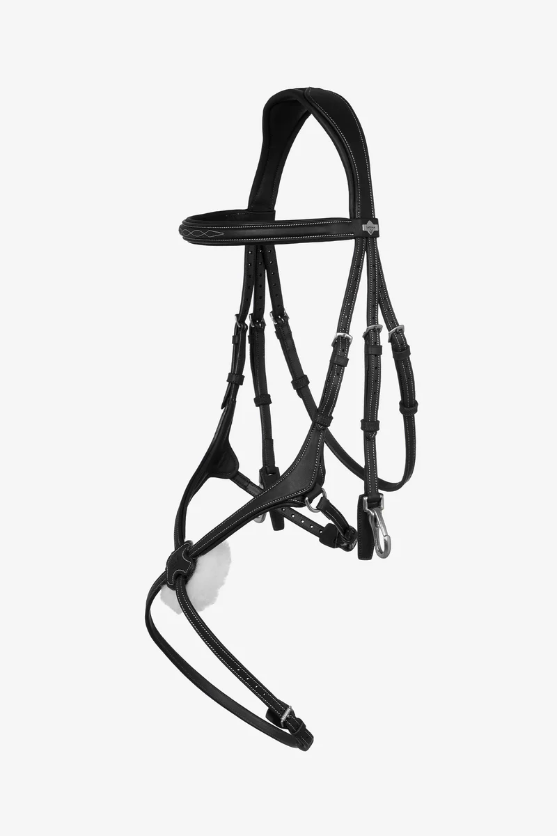 Kudos Grackle Arbeitszaum Black V