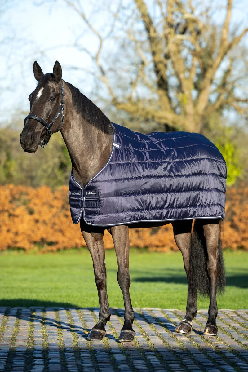 Unterdecke, 100 g Navy 170