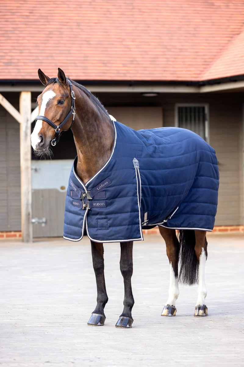 Kudos Stalldecke, 100 g Navy 120