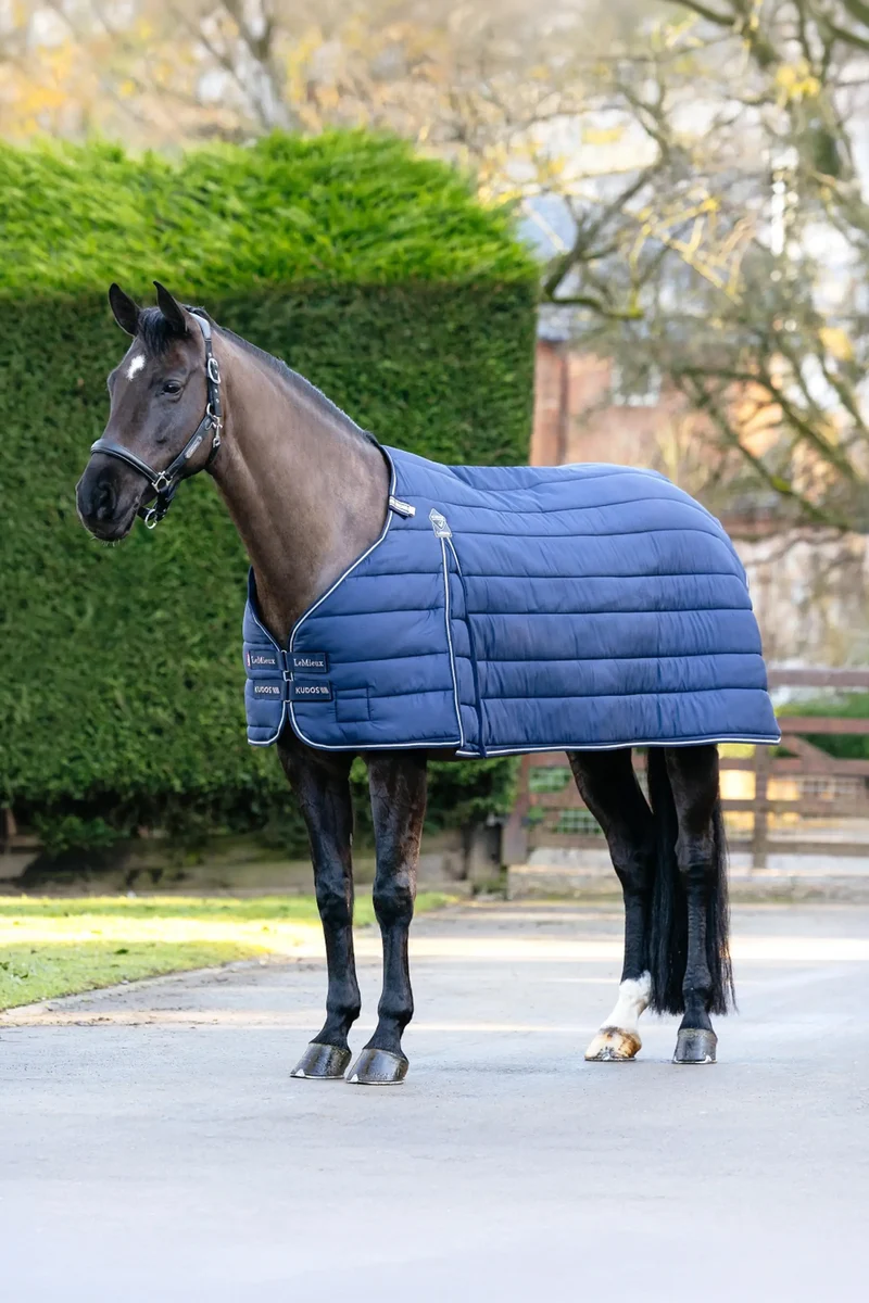 Kudos Unterdecke, 200 g Navy 170