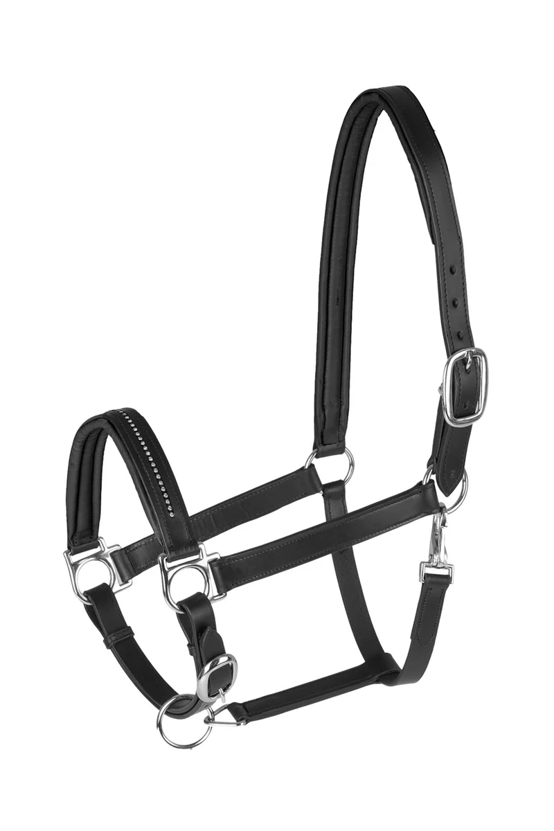 Lederhalfter Diamond Black/Silver Mini