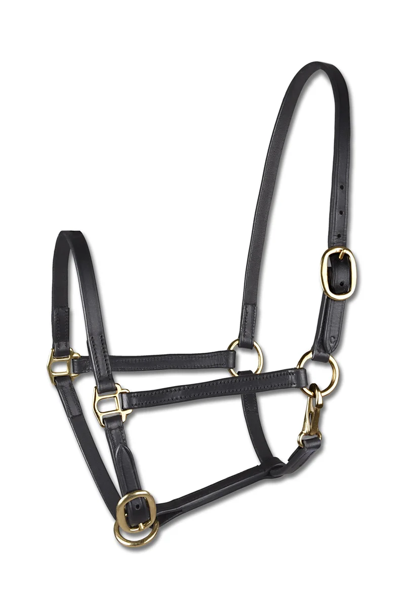 Fohlen Leder-Vorführhalfter Black SHP