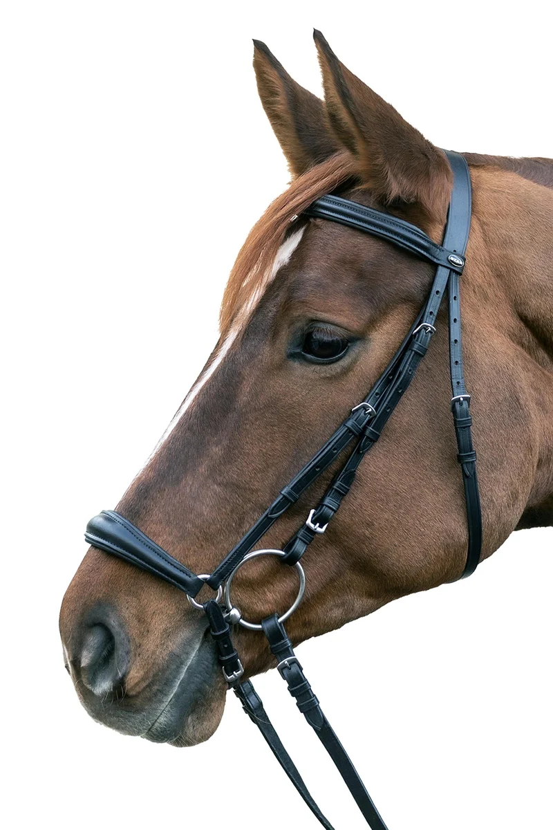 Trense mit hannoverschem Reithalfter Black V