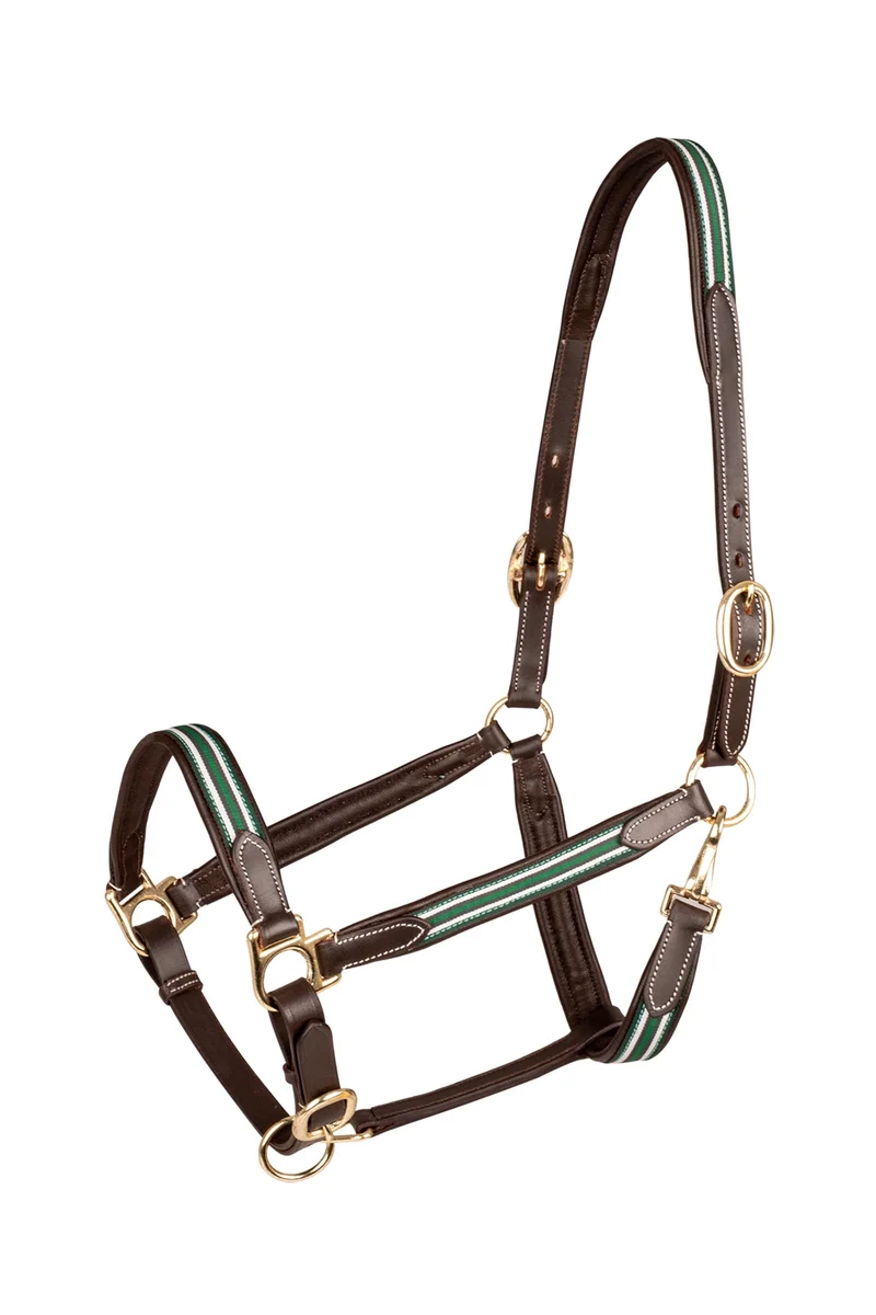 X-Line Oxford Lederhalfter Brown/Green V