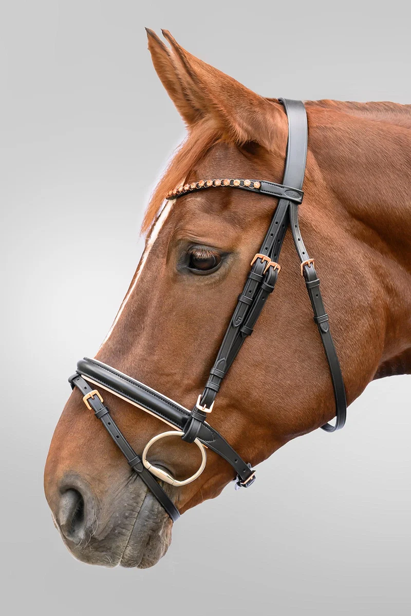 Rosegold Trense mit englisch-kombiniertem Reithalfter Black P