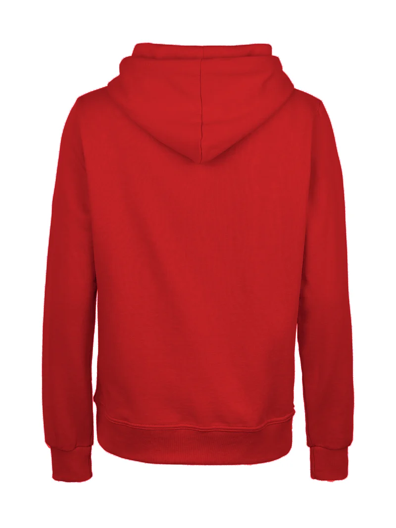 Hoodie Basic Iris 320