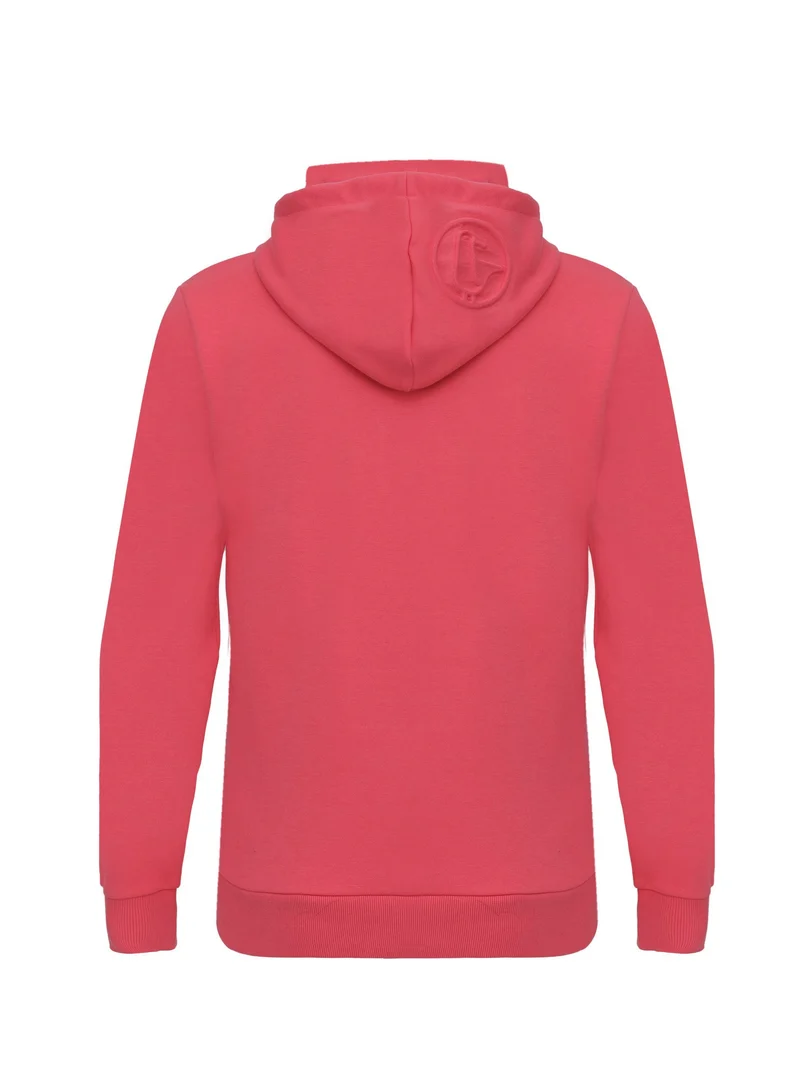 Hoodie Tjara Treibholz